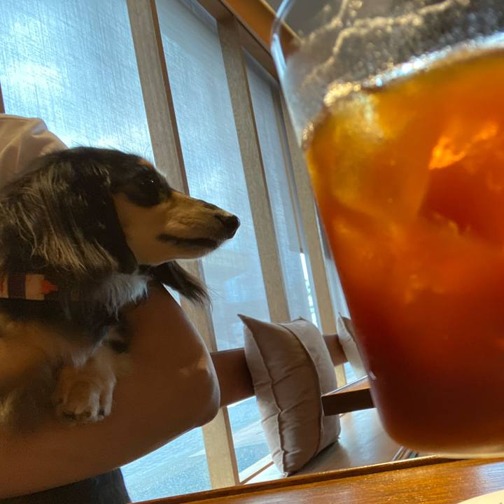 9cee9989 ac80 47e5 9af4 c80cbc1f887d 1713341494897