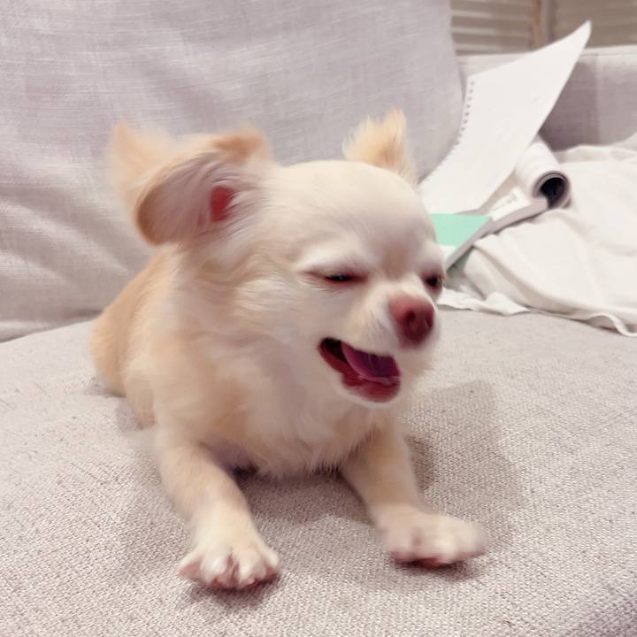 9ceee321 4f75 40d6 8c5f a25c95de74c1 1719841003112