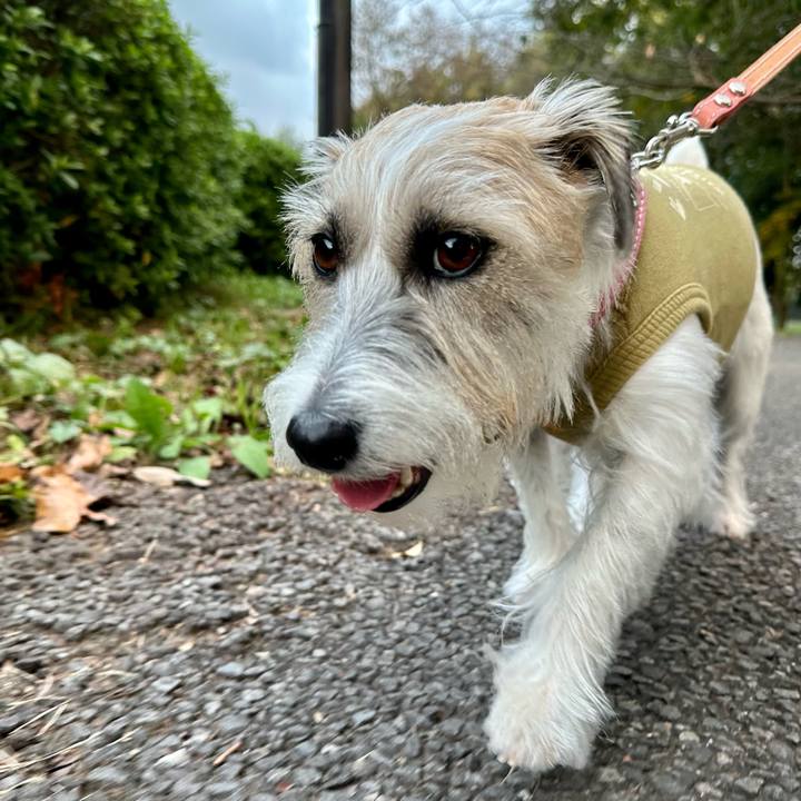 9ceef509 c7b3 4e41 bd10 0cddd689365b 1699182861809