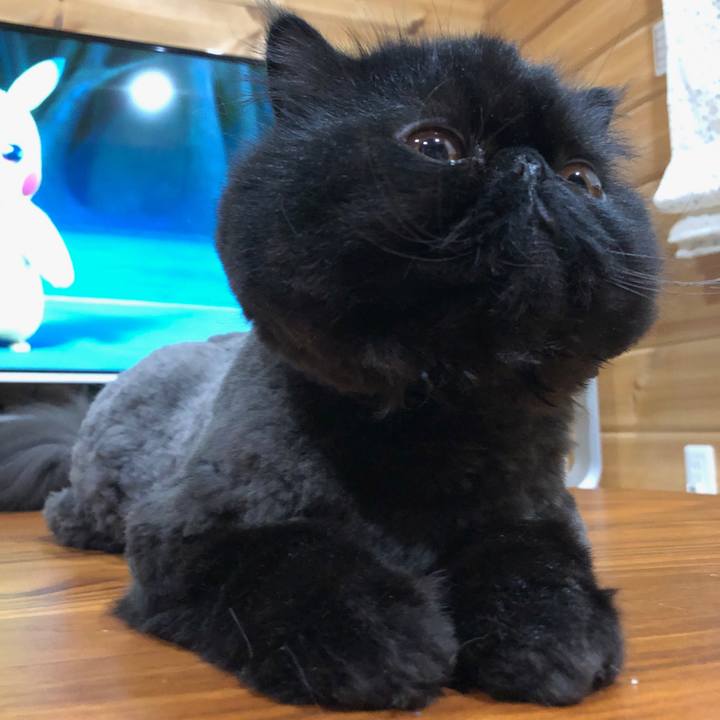 9cef315a 6318 416f b2c1 dc55c83e8e6f 1563705551205