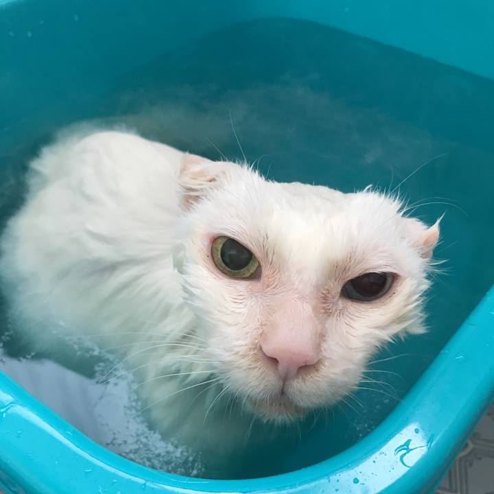 9cef3a69 e4ca 4017 a984 9f4d50e3d76c 1544502124424