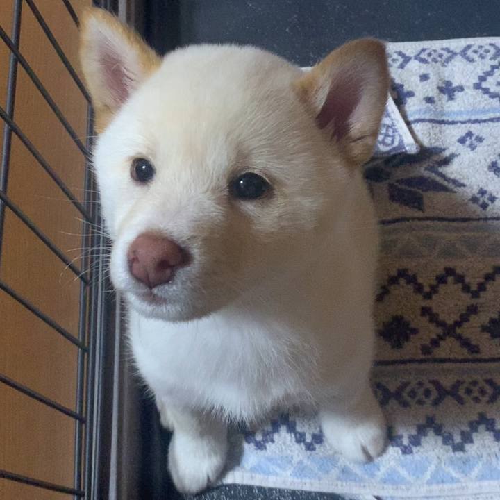 9cef8134 2990 4650 a5fe 29dca3909431 1718219531028