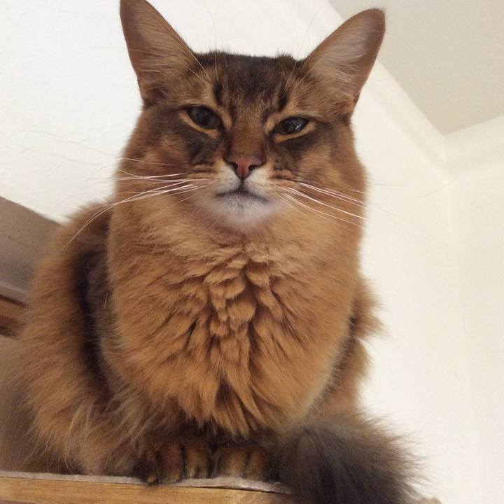 9cef88a9 6182 4525 978b 9ff9a514beb9 1642739531293