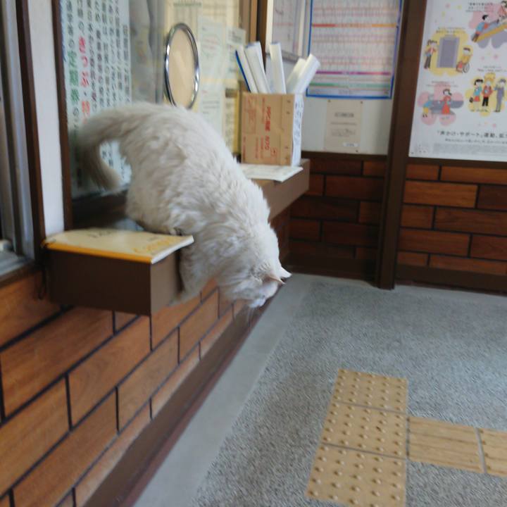 9cef923b 5e21 4c66 ad9e 820ff959a0c7 1553466443102