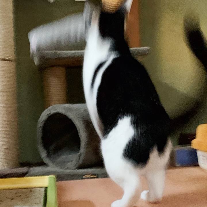 9cefabe2 d080 4136 898a 6408e415c379 1541990006206