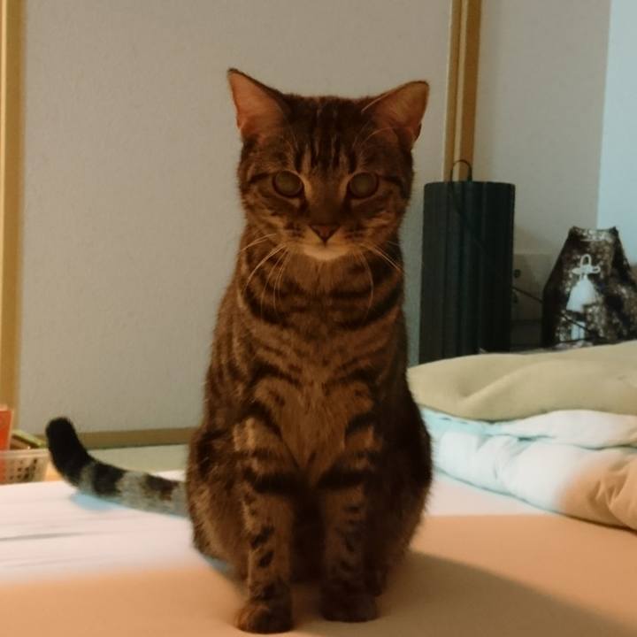 9cefd263 75b6 4539 baa6 f377e3e9cf01 1510635442213