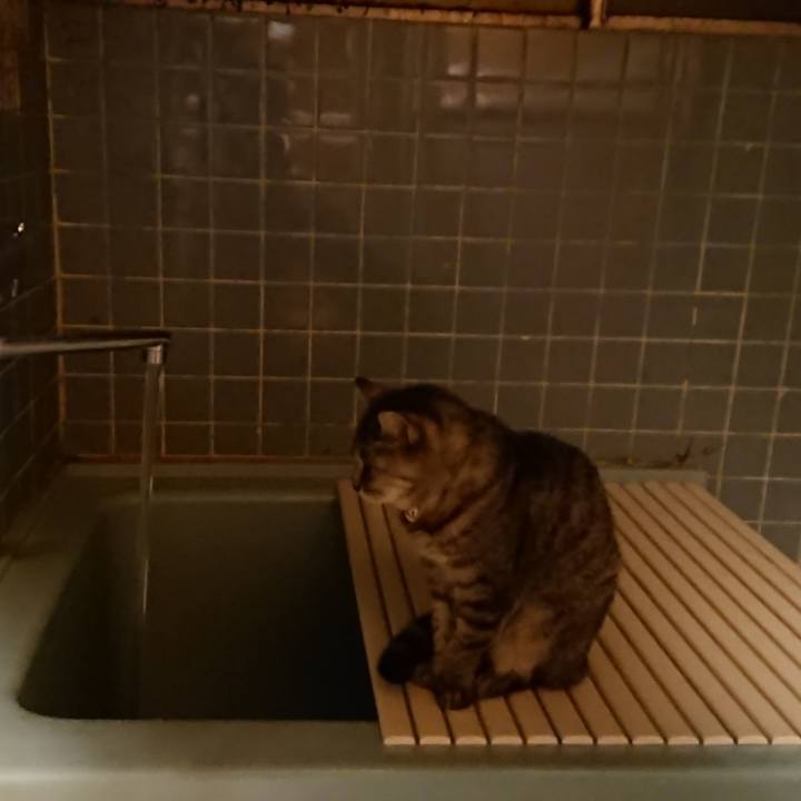 9ceff1a3 a1d9 47ca 9c61 d2dfb192fc23 1573551045460