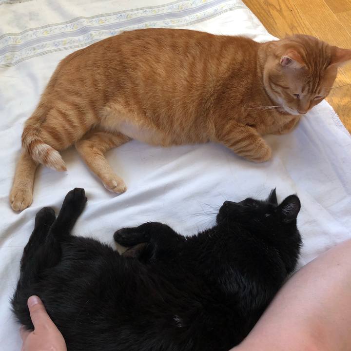 9cf015ff 4af8 4eca 8b12 ef1d95a0f44f 1562014218469