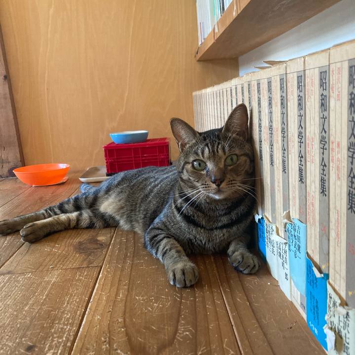 9cf09294 4dcb 4388 8f88 f63b8d823a15 1724454564693