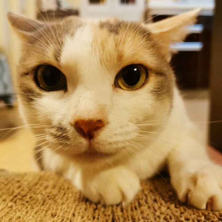 9cf0c53f d6c2 4c4b baa8 465ec6779a94 1675397831411