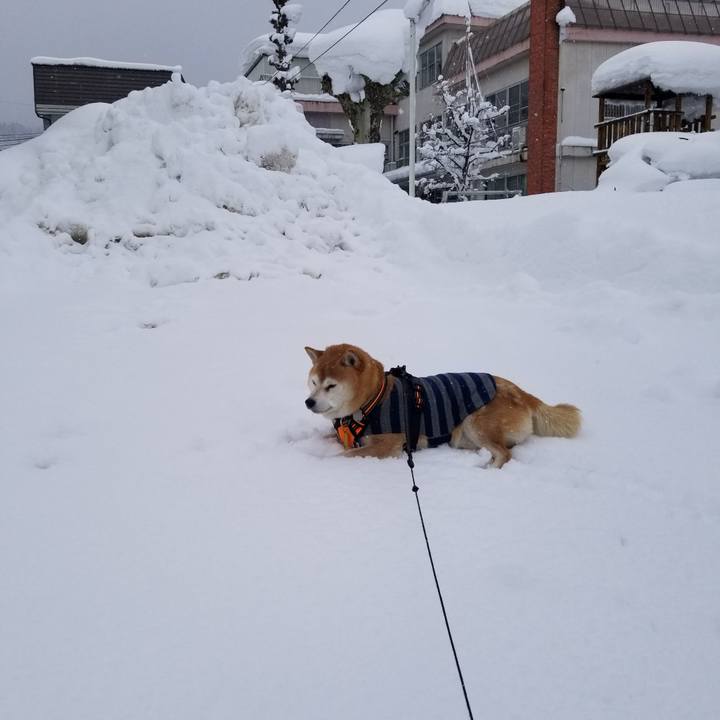 9cf10fad f6dd 48c1 85df 896ef947e288 1641358064996