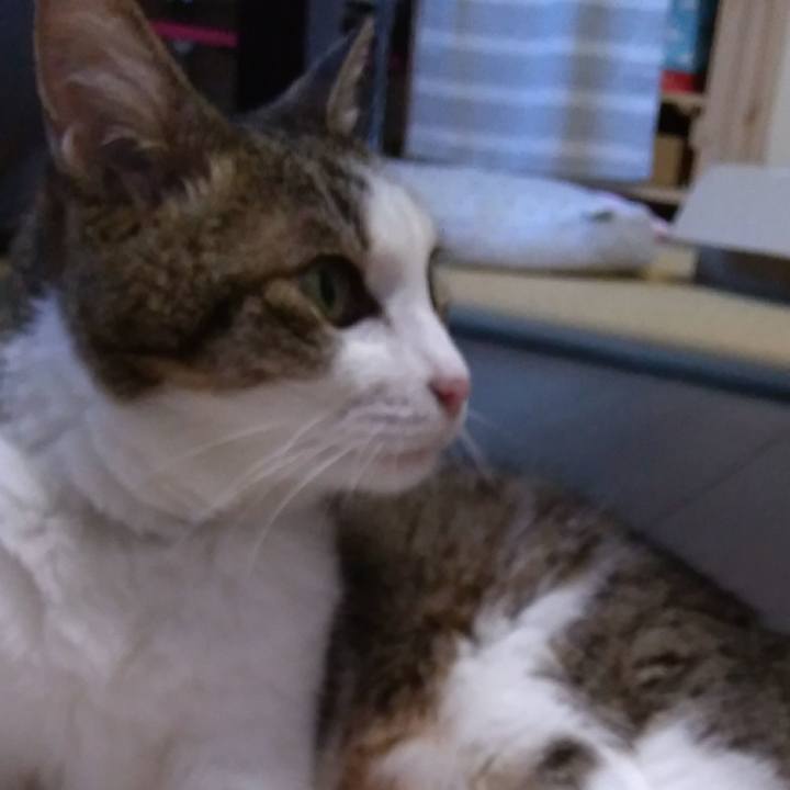 9cf11325 688d 42e6 9f47 02853afb5f0d 1531220168256