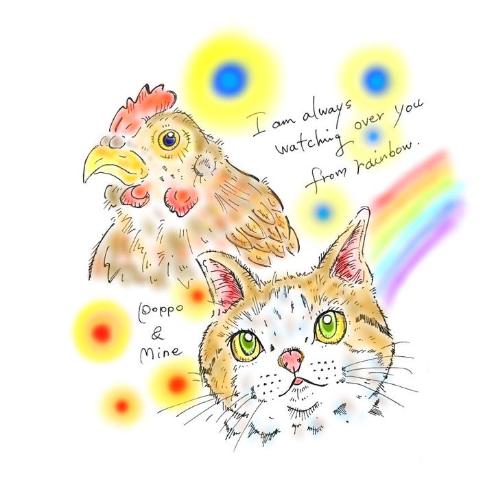 9cf11737 905a 479e 892e 1d4f8e165a64 1576253069682