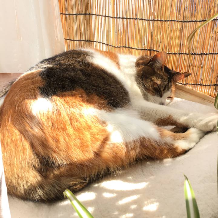 9cf12343 264f 45dd a51a 8c166a9fdf50 1519441085797