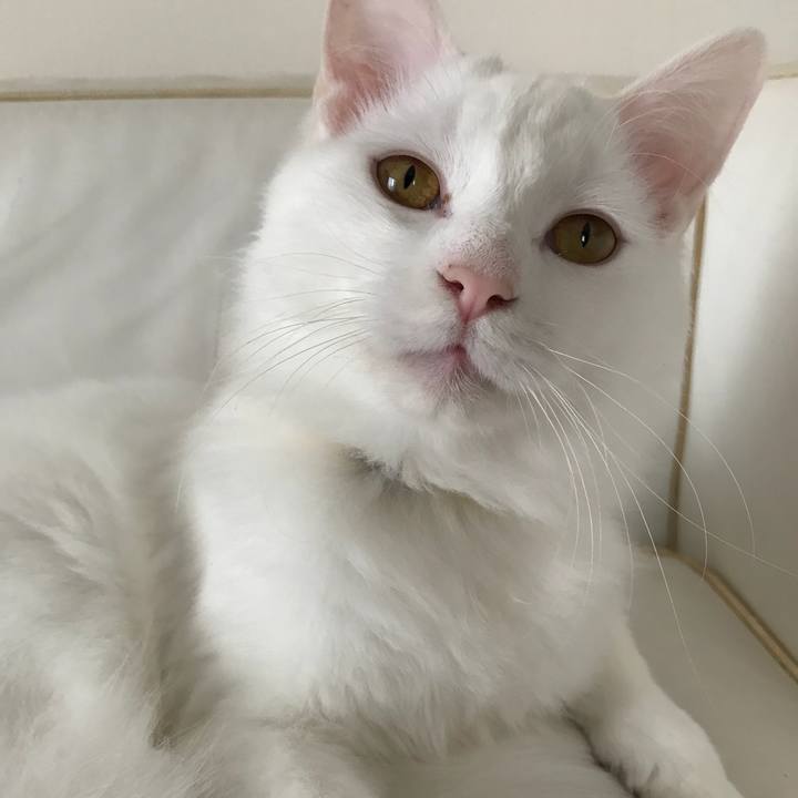 9cf15570 8ecf 4600 a071 eac34bdb3ff3 1520070659343