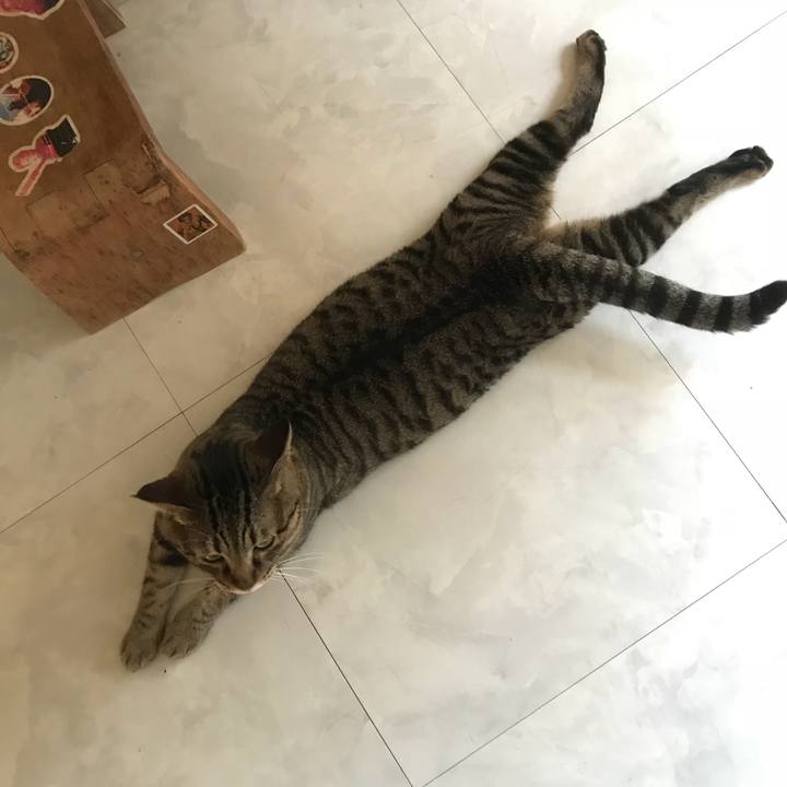 9cf161fa 16fa 4bb2 af1f c45f756b0965 1533457135418