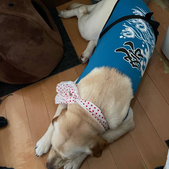 9cf172d9 d805 4bae 925b 55857b57e5fe 1651309509862