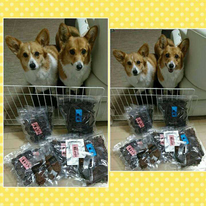 9cf17a12 9469 42dc 8612 3682eb0f9ad6 1553928296476