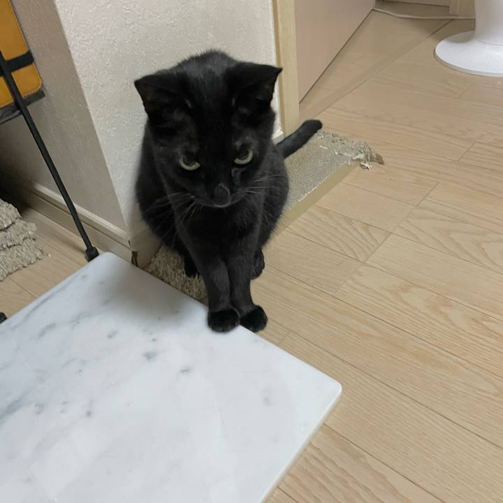 9cf1974f 784b 4693 b295 749b36f52f62 1691922447892