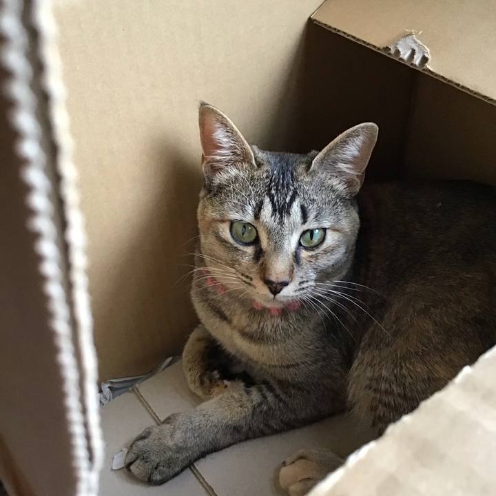 9cf20c46 18f3 4212 afce 6fe11ac9bd7f 1588574469777