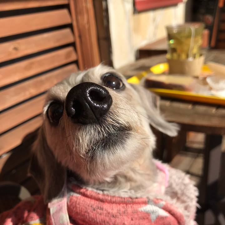 9cf22c6d e36e 4a15 b6ad 6fce28d767c6 1517190789675