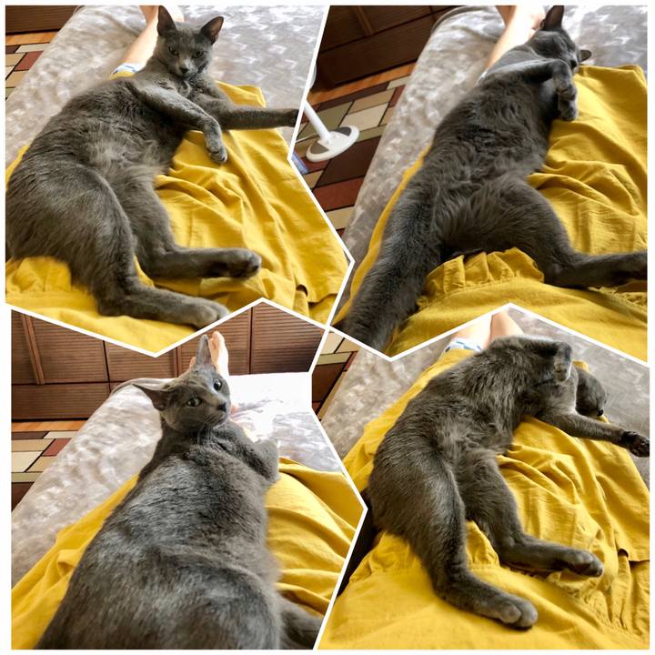 9cf25d0b 1b8a 4052 8d0c 74e08a893e0c 1590976351742