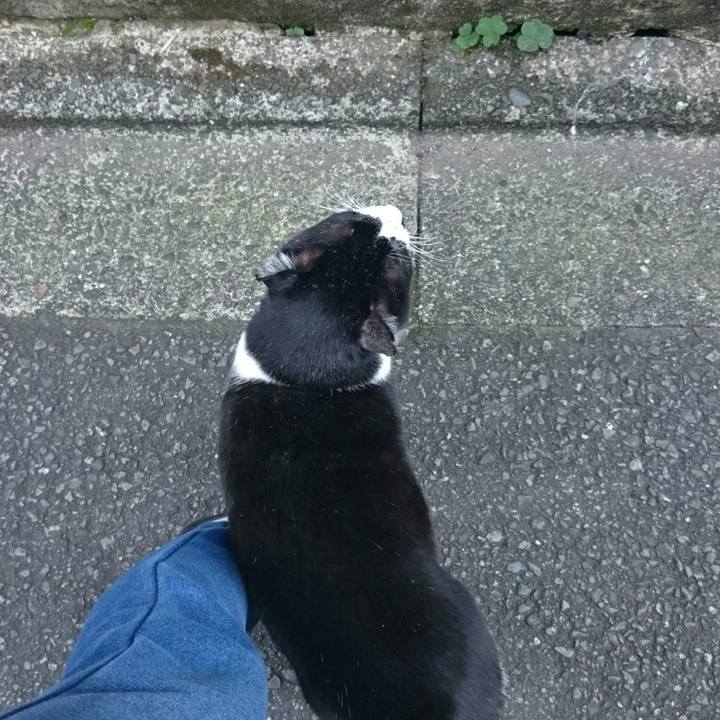 9cf26b16 21dc 448b 87fe 9174ba9628e9 1512191106891