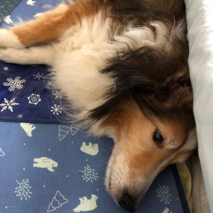 9cf26bec 0cc3 4cd6 b381 e56898b8554b 1625314780921