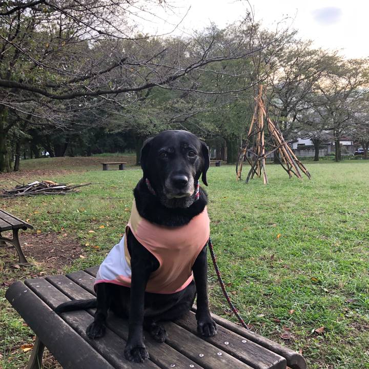 9cf28265 bf19 416c 8809 847ae8c187e0 1570521040234