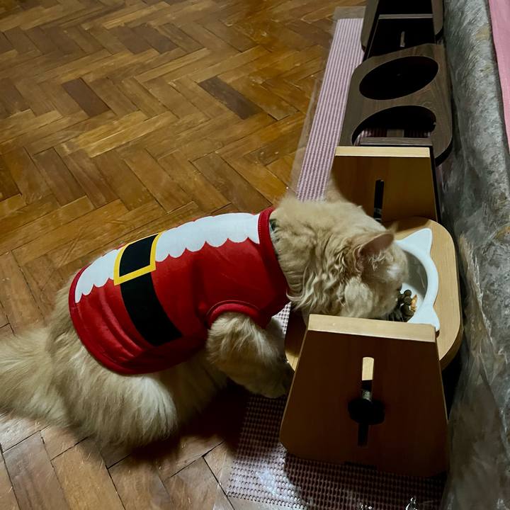 9cf2b77d b9aa 4b1d adcc fd662ec41618 1766573857800