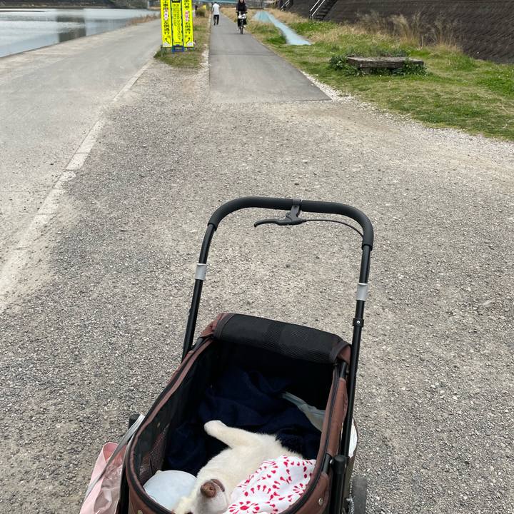 9cf2cf19 5fb6 4380 86e9 170d75f65cd2 1678715202980