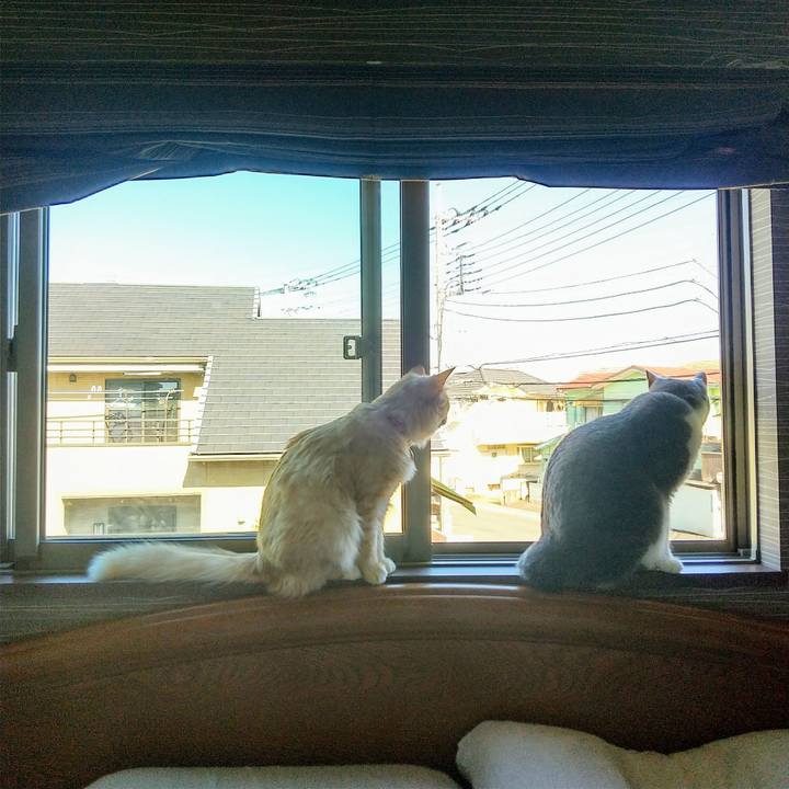 9cf2d91b c1e3 47f0 86e3 1ec50dc10751 1635044923728