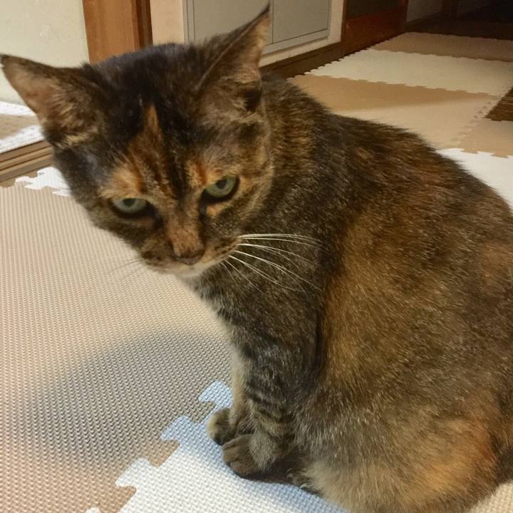 9cf2dd81 8bd1 409e a6e5 67aaa548fef4 1554869136201