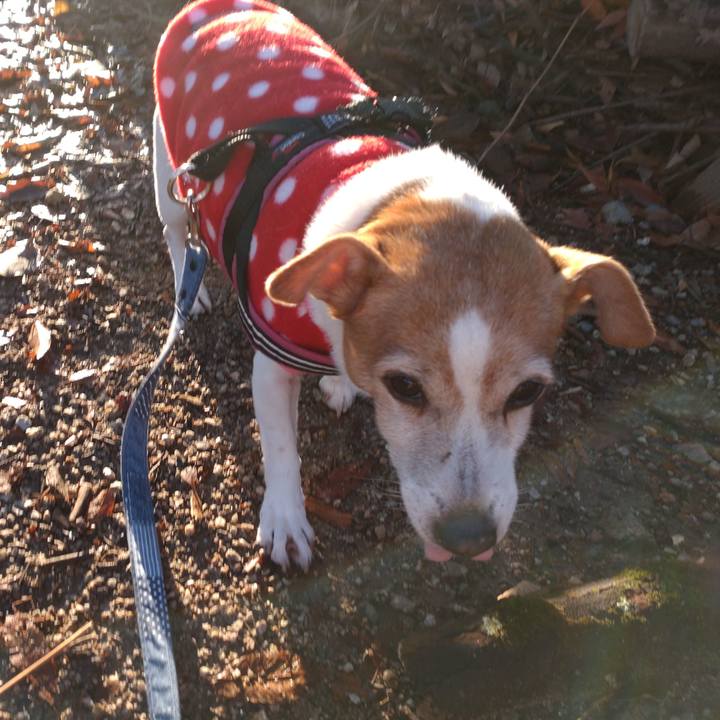 9cf2e645 aa14 4ed9 8503 c762935f0887 1766453790974