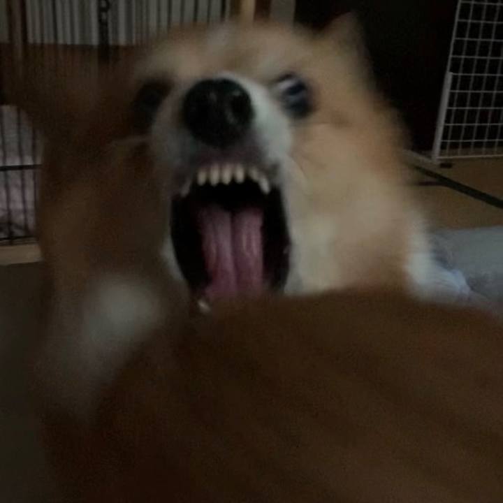 9cf2eb20 cc68 44bf 8fe2 5c649f37806b 1629802566847