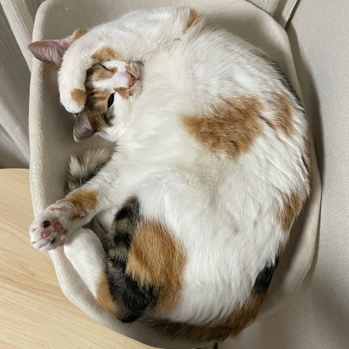 9cf2eb96 798e 4416 96b0 ed2ae3831d1b 1613573334128