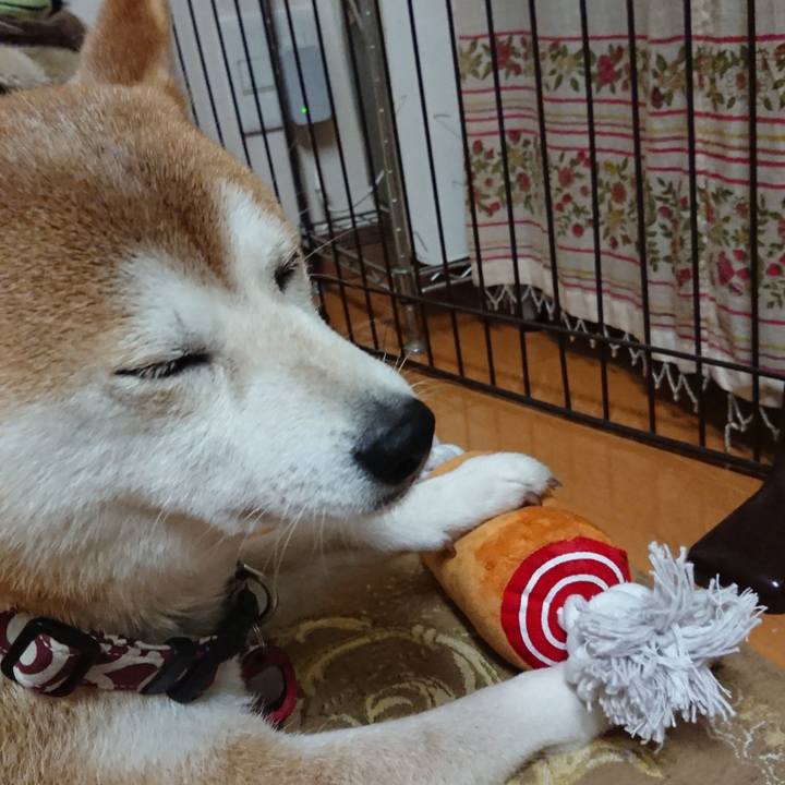 9cf2f009 bfc2 4464 bde5 3c003a1e847f 1539089387934