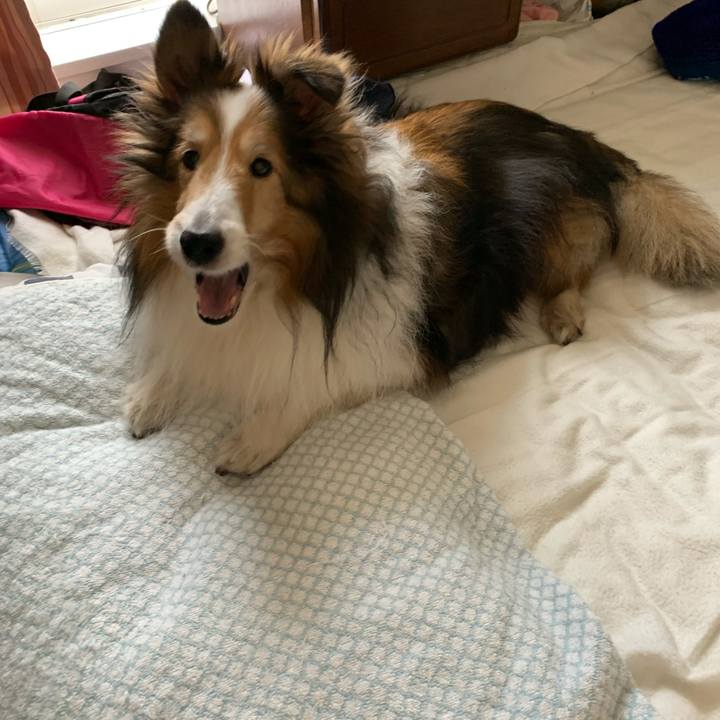 9cf32652 ea99 4940 9910 6810fb8c962e 1586248394663