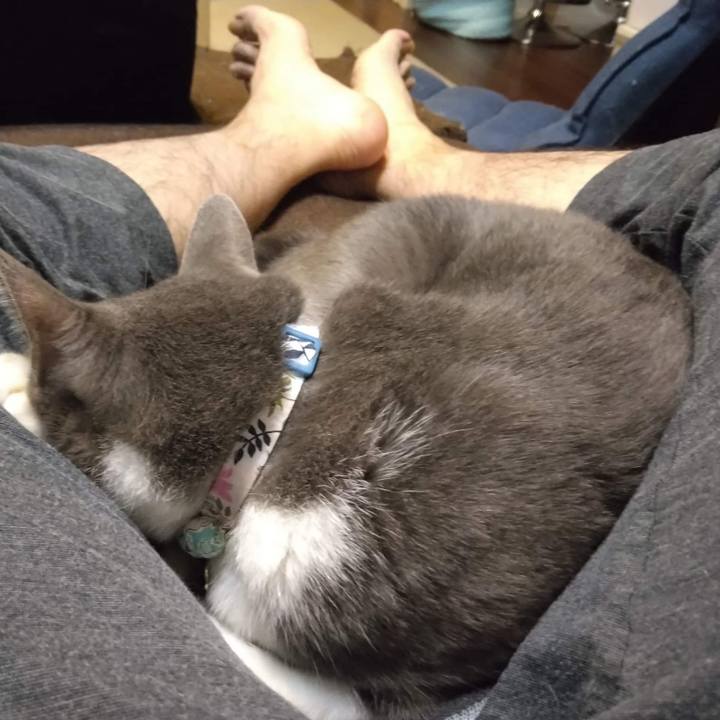 9cf369ed 45b0 4dd1 98e2 f94f3c8803c9 1665140295929