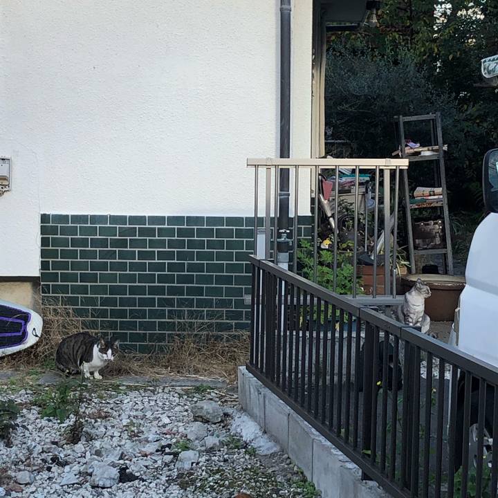 9cf37063 5418 4b4a a734 6e77cd1f0850 1607438314721