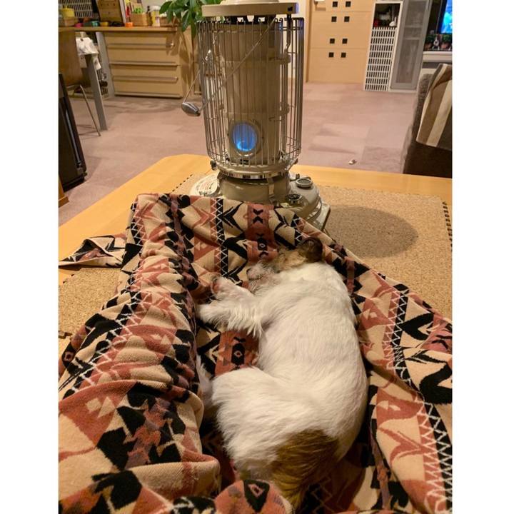 9cf37208 3138 4734 a20f db75c0e38e00 1585486779230