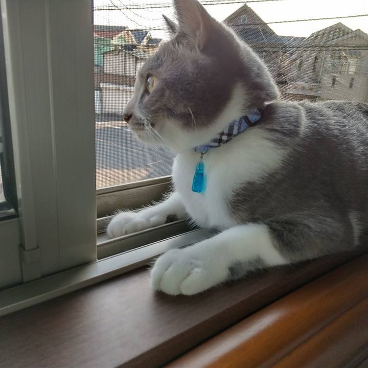 9cf39402 ecfe 406b ba27 0cc59a965b9f 1597529557336