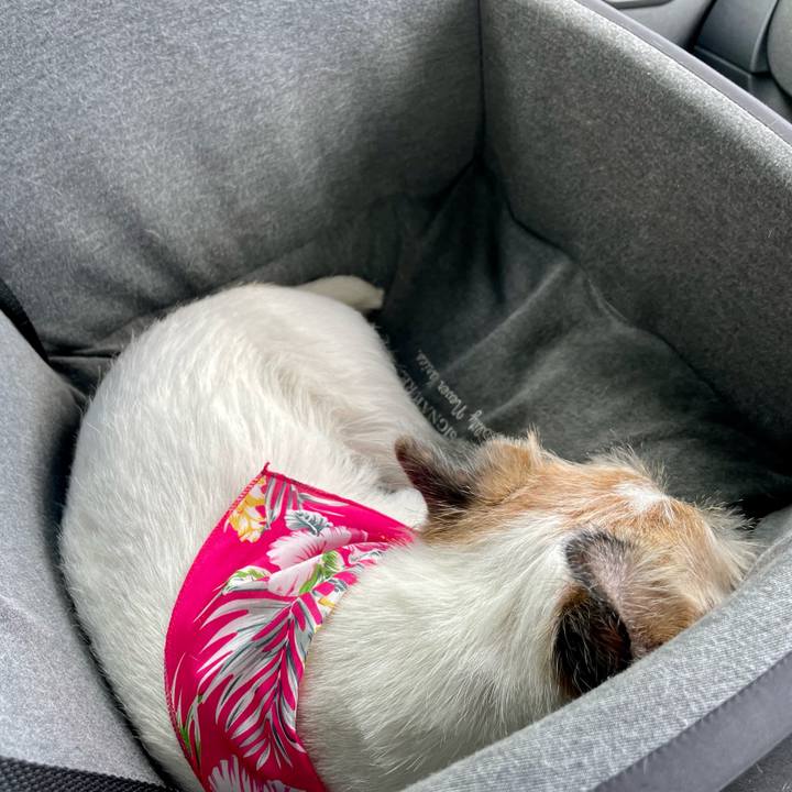 9cf3a8e2 acaf 4727 bc6e caa3a3081e3a 1691390156445