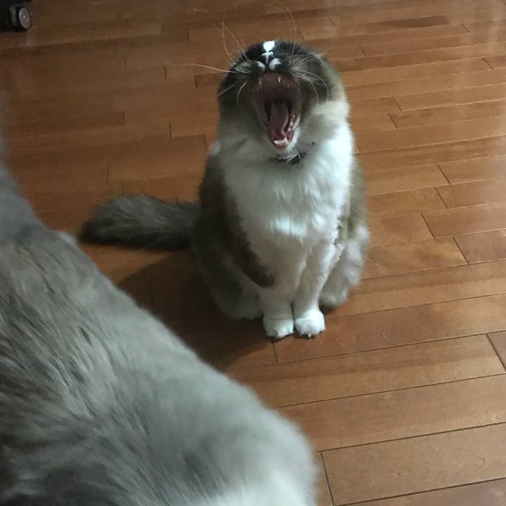 9cf3ed3f fd28 4e59 bc44 9201d838fb4d 1514546879013