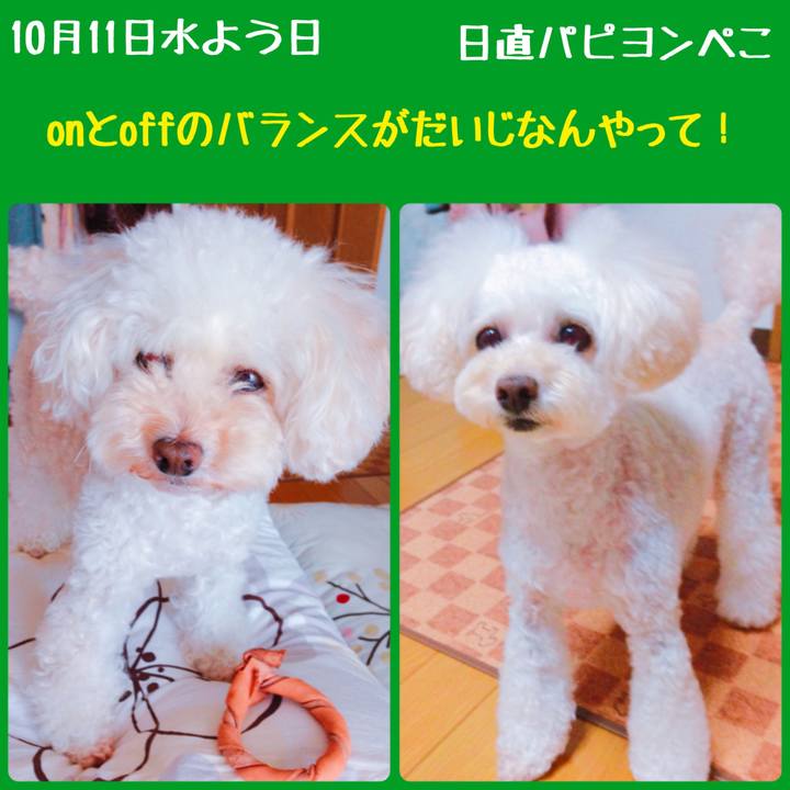 9cf40938 42c5 4ca8 ad29 c51dbbdcb6cb 1507707802859