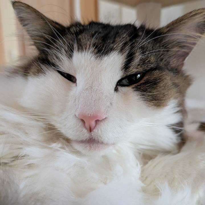 9cf436dd 8e1e 4d2c 8ced 7196101affa2 1762517015090