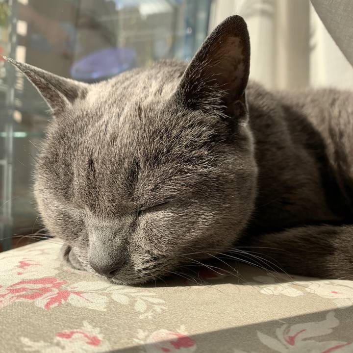 9cf4490f 5284 4564 8f8e 20b01091a871 1613001192851