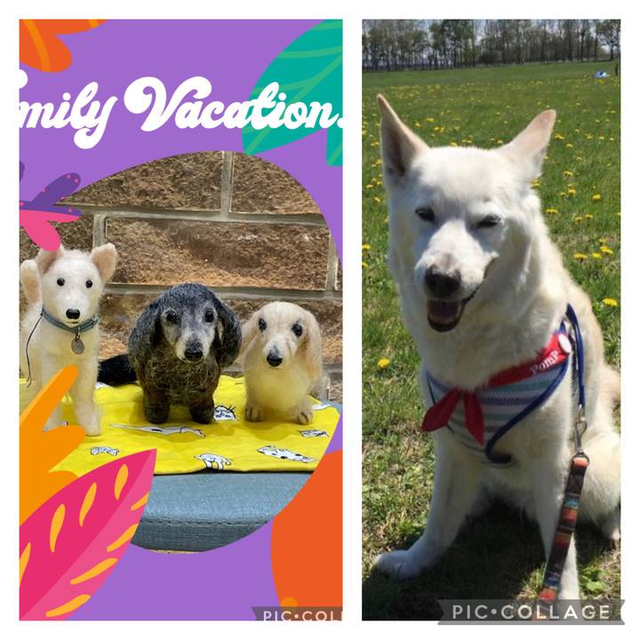 9cf45c2c d915 43e2 9ab2 d1c3efb1dd0b 1685849202936