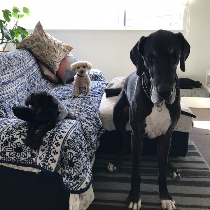 9cf4626d 31b2 4942 b67f 5be22a3d550e 1524091985184