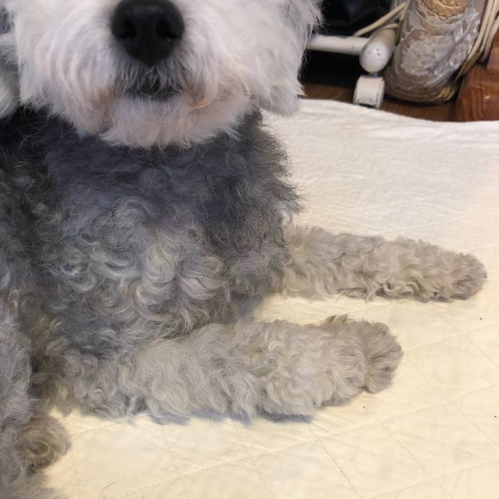 9cf490a5 540a 4dcd 9dcf 5ed57a634c26 1564008486817